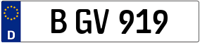 Truck License Plate